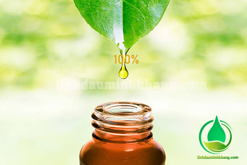 Tinh dầu minh khang được chiết xuất 100% từ thảo dược tự nhiên